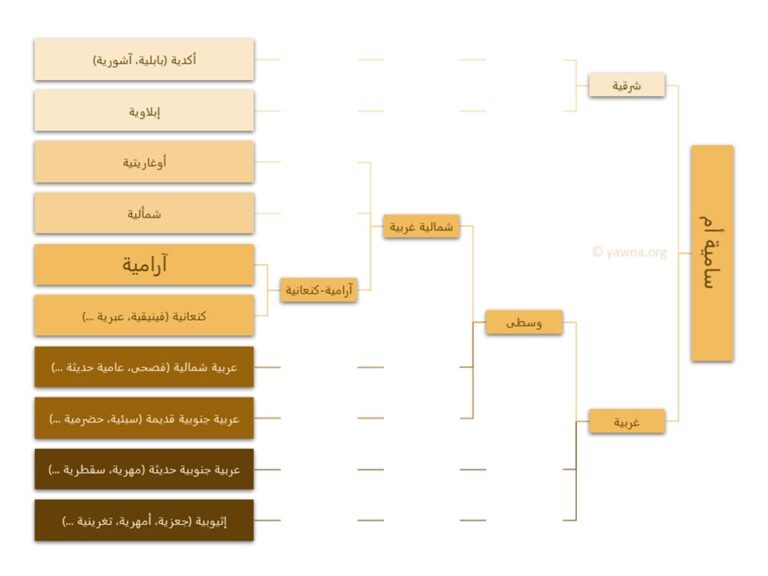 Classification of the Semitic languages arabic